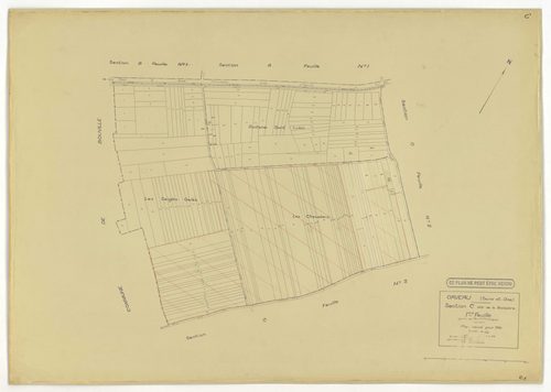 Plans minutes de conservation : ORVEAU : tableaux d'assemblage n°1 et 2, ech. 1/5000 (1934-1951), sections A1, A2, A3, B, C1, C2, C3, ech. 1/1250 (1934) ; tableau d'assemblage n°3, ech. 1/5000, section D, ech. 1/1250 (1951), section E, ech. 1/2000 (1951) 
