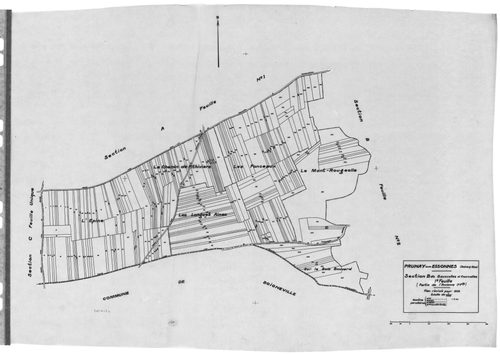 PRUNAY-SUR-ESSONNE. - Cadastre révisé pour 1934 : plan du tableau d'assemblage, plans de la section A le Village 1ère feuille, idem 2ème feuille, section B Sauxcelles et Courcelles 1ère feuille, idem 2ème feuille, section C Larry-Blanc ; cadastre renouvel