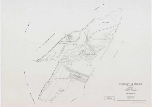 PUISELET-LE-MARAIS, plans minutes de conservation : tableau d'assemblage, 1935, Ech. 1/10000 ; plans des sections A, B, C2, F, G, 1935, Ech. 1/2500, section C1, 1935, Ech. 1/1250, section ZA, 1961, Ech. 1/2000, sections ZB, ZC, ZD, ZE, ZH, ZI, 1968, Ech. 