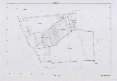 PUSSAY, plans minutes de conservation : tableau d'assemblage,1952, Ech. 1/10000 ; plans des sections O1, O2, 1952, Ech. 1/1000, sections Q, R, S, T, U, Y, Z, 1952, Ech. 1/2000, sections ZB, ZC, ZD, ZE, ZH, ZI, ZK, ZL, ZM, ZN, 1991, Ech. 1/2000. Polyester.