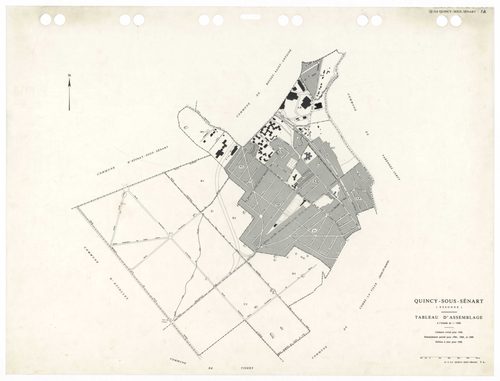 QUINCY-SOUS-SENART, plans minutes de conservation : tableau d'assemblage,1936, Ech. 1/5000 ; plans des sections B1, B2, B3, 1936, Ech. 1/1250, sections C1, C2, 1936, Ech. 1/2500, sections AA, AB, AC, AD, AK, AL, 1984, Ech. 1/1000, sections AE, AH, AI, 198