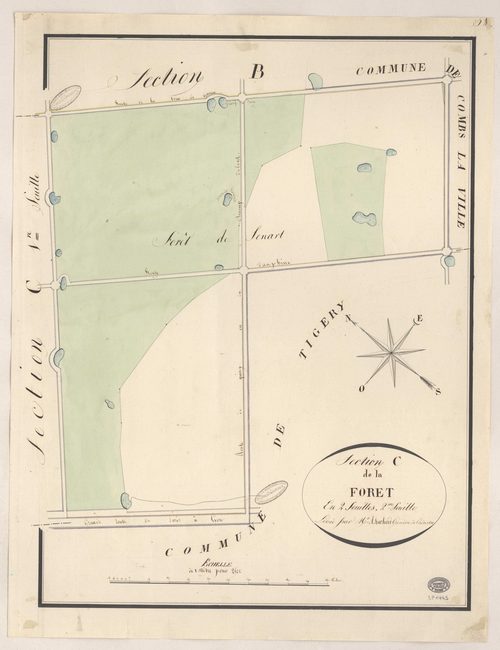 QUINCY-SOUS-SENART. - Section C : Forêt (la), 2e feuille. 