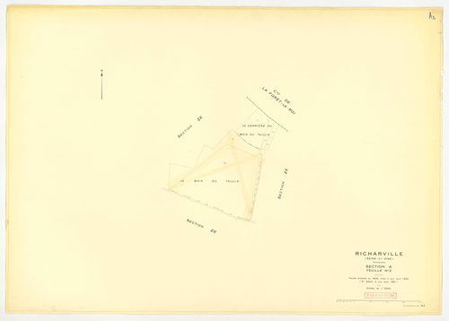 Plans minutes de conservation : RICHARVILLE : tableau d'assemblage, ech. 1/5000 (1932-1962) ; section A4, ech. 1/1250 (1932) ; sections A3, B1, ech. 1/25000 (1932-1952) ; sections A1, A2, B, ech. 1/2500 (1932-1961) ; sections X, Y, Z, ech. 1/2500 (1961) ;