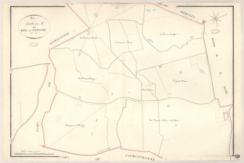 RIS-ORANGIS. - Section C : Bois du Thioche (le). 