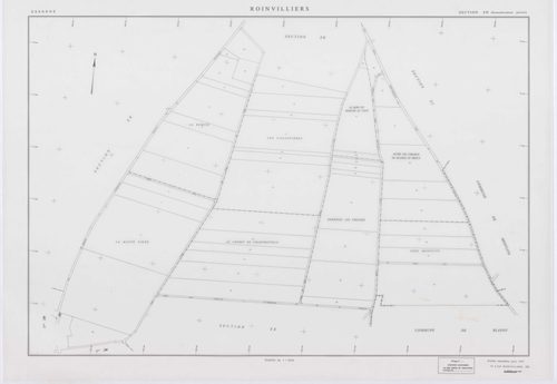 ROINVILLIERS, plans minutes de conservation : tableau d'assemblage, 1998, Ech. 1/5000 ; plans des sections ZB, ZC, ZD, ZE, ZH, ZI, ZK, 1998, Ech. 1/2000. Polyester. N et B. Dim. 105 x 80 cm [8 plans]. 