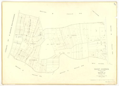 Plans minutes de conservation : SAINT-CHERON : tableau d'assemblage, ech. 1/10000 (1951), section A1, ech. 1/2500 (1951), sections A2, A3, B2, B3, B4, C1, C2, C3, ech. 1/1250 (1951) ; section B1, ech. 1/1250, section E2, ech. 1/2500 (1951-1973) ; sections