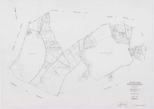 SAINT-CYR-SOUS-DOURDAN, plans minutes de conservation : tableau d'assemblage, 1939, Ech. 1/10000 ; plans des sections A1, B, C1, C3, D, 1939, Ech. 1/2500, sections A2, C2, 1939, Ech. 1/1250, sections ZA, ZB, 1982, Ech. 1/2000. Polyester. N et B. Dim. 105 
