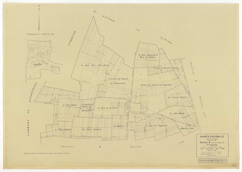 Plans minutes de conservation : SAINT-ESCOBILLE : sections A1, A2, B1, B2, D, ech. 1/2500 (1933-1936), section C1, ech. 1/1250 (1933) ; tableau d'assemblage, ech. 1/10000 (1956), sections S, T, U, V, W, X, Y, Z1, Z2, ech. 1/2000 (1956), NB, papier, 105x80