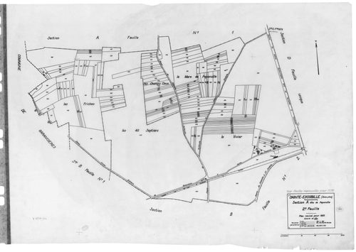 SAINT-ESCOBILLE. - Cadastre révisé pour 1933 : plan du tableau d'assemblage, plans de la section A Paponville 1ère feuille, idem 2ème feuille, section B Guillerville 1ère feuille, idem 2ème feuille, section C le Village 1ère feuille, idem 2ème feuille, se