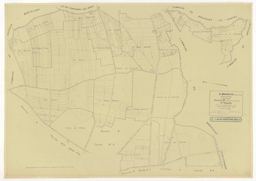 Plans minutes de conservation : SAINT-MAURICE-MONTCOURONNE : tableau d'assemblage, ech. 1/10000 (1954), sections A1, A2, A3, A4, B1, B2, C1, C3, C4, C5, C6, ech. 1/1250 (1934), sections A, B, C, D, E, F, G1, G2, H1, H2, ech. 1/2000 (1954), NB, papier, 105
