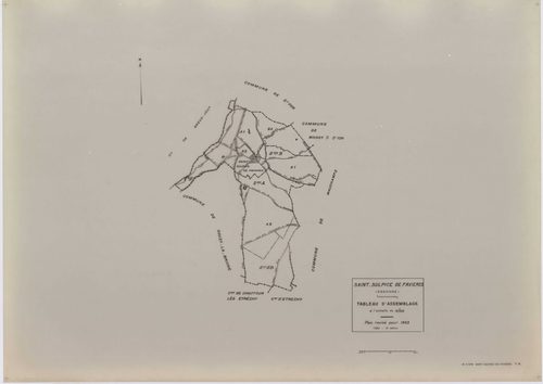 SAINT-SULPICE-DE-FAVIERES, plans minutes de conservation : tableau d'assemblage, 1933, Ech. 1/10000 ; plans des sections A1, A3, B2, 1933, Ech. 1/2500, sections A2, B1, 1933, Ech. 1/1250, section ZB, 1963, Ech. 1/2000. Polyester. N et B. Dim. 105 x 80 cm 