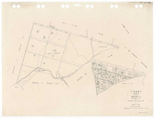 TIGERY, plans minutes de conservation : tableau d'assemblage,1933, Ech. 1/10000 ; plans des sections A1, A2, A3, B2, B4, CU, 1933, Ech. 1/2500, sections B1, B3, 1933, Ech. 1/1250, sections ZA, ZB, 1988, Ech. 1/2000. Polyester. N et B. Dim. 105 x 80 cm [11
