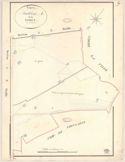 TIGERY. - Section A : Forêt (la), 2e feuille. 