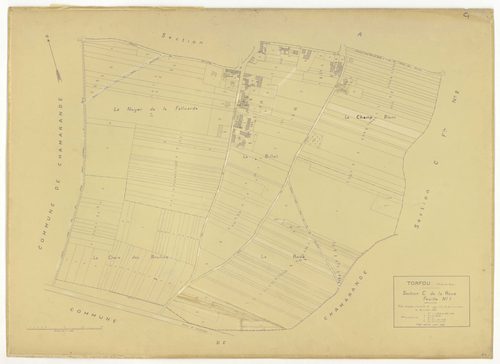 Plans minutes de conservation : TORFOU : tableau d'assemblage, ech. 1/5000 (1929-1931), sections A, B, C1, ech. 1/2500 (1929-1931) ; section C2, ech. 1/2500 (1929-1976), NB et couleur, papier, 105x80 [5 plans]. 