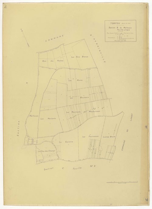 Plans minutes de conservation : TORFOU : tableau d'assemblage, ech. 1/5000 (1929-1931), sections A, B, C1, ech. 1/2500 (1929-1931) ; section C2, ech. 1/2500 (1929-1976), NB et couleur, papier, 105x80 [5 plans]. 