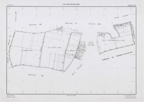 VAUGRIGNEUSE, plans minutes de conservation : tableau d'assemblage,1937, Ech. 1/10000 ; plans des sections A3, A4, B2, C3, C5, 1937, Ech. 1/1250, sections B1, C1, 1937, Ech. 1/2500, sections ZA, ZB, ZC, ZD, ZE, 1978, Ech. 1/2000. Polyester. N et B. Dim. 1