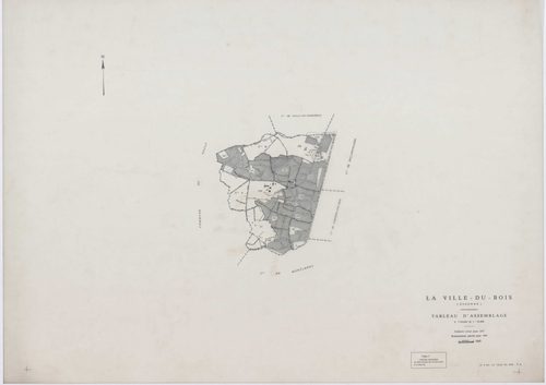 VILLE-DU-BOIS (LA), plans minutes de conservation : tableau d'assemblage,1987, Ech. 1/10000 ; plans des sections F1, H1, 1937, Ech. 1/1250, section AB, 1991, Ech. 1/2000, AC, AD, AE, AH, AI, AK, AL, AM, AN, AO, 1991, Ech. 1/1000, section E3, 1991, Ech. 1/