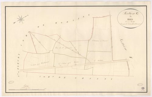 VIRY-CHATILLON. - Section G : Bois (les). 