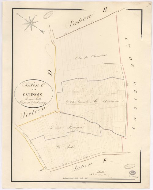 VIRY-CHATILLON. - Section C : Gâtinois (les). 